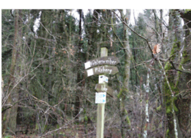 Plaetzchenwolf.de thumbnail Plaetzchenwolf.de thumbnail