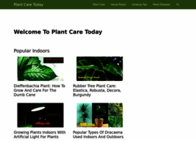 Plantcaretoday.com thumbnail