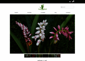 Plantgrouphawaii.com thumbnail