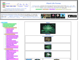 Plantlifeforms.com thumbnail