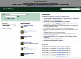 Plants.ensembl.org thumbnail