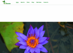 Plantsinformation.com thumbnail