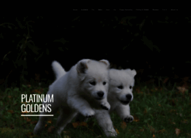 Platinumgoldens.us thumbnail