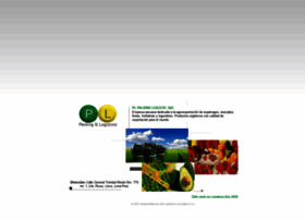 Plpackingylogistics.com thumbnail