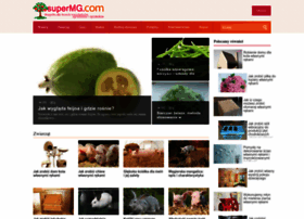 Po.supermg.com thumbnail