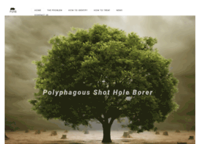 Polyphagous-shot-hole-borer.co.za thumbnail