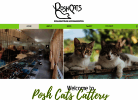 Poshcats.co.za thumbnail