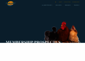 Poultryhub.org thumbnail