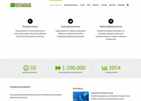 Profesjonalne-pozycjonowanie.pl thumbnail