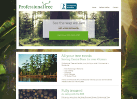 Professionaltree.com thumbnail
