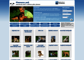 Psi-plemena.2info.cz thumbnail