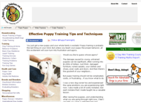 Puppy-training-solutions.com thumbnail