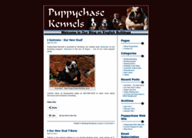 Puppychase.wordpress.com thumbnail