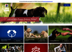 Puppyschool.co.za thumbnail