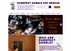 Purrfectangels.org thumbnail