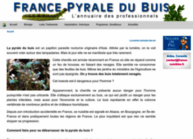 Pyraledubuis.fr thumbnail
