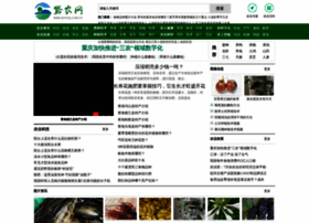 Qnong.com.cn thumbnail