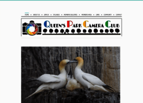 Qpcc.co.uk thumbnail Qpcc.co.uk thumbnail