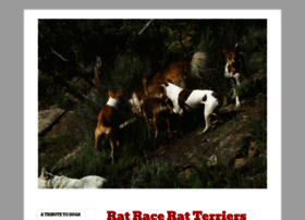 Ratraceratterriers.wordpress.com thumbnail