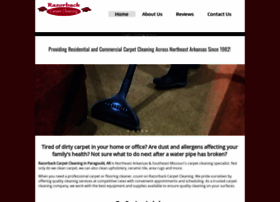 Razorbackcarpetcleaning.com thumbnail