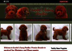 Redandapricotpoodles.com thumbnail