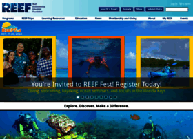 Reef.org thumbnail