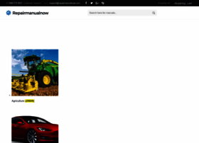 Repairmanualnow.com thumbnail