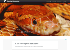 Reptilemagazine.co.uk thumbnail