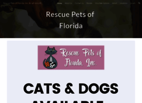 Rescuecatsofflorida.org thumbnail