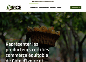 Rice-ci.com thumbnail