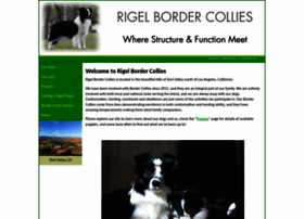 Rigelbordercollies.com thumbnail