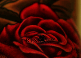Rin-kg.com thumbnail