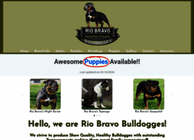 Riobravobulldogs.com thumbnail