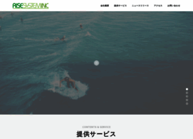 Risesystem.com thumbnail