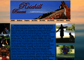 Rosehillboxers.com thumbnail