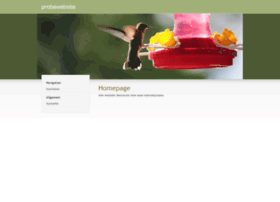 Rundumdiebiene.de thumbnail