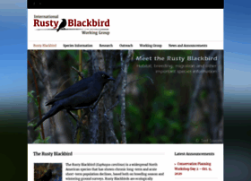 Rustyblackbird.org thumbnail
