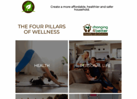 Saferhousehold.com thumbnail