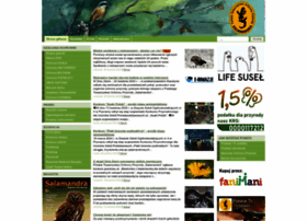 Salamandra.org.pl thumbnail