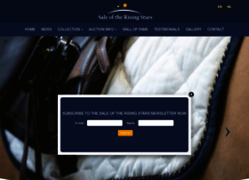 Saleoftherisingstars.nl thumbnail