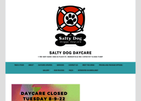 Saltydogdaycare.net thumbnail