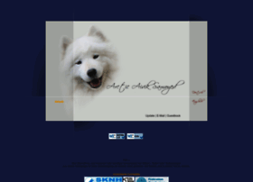Samoyed.ch thumbnail