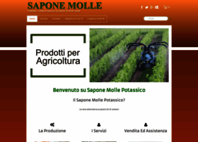 Saponemolle.it thumbnail