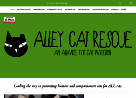 Saveacat.org thumbnail Saveacat.org thumbnail
