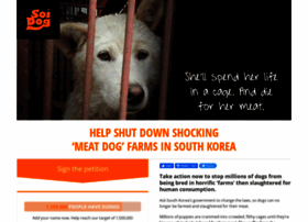 Savekoreandogs.soidog.org thumbnail Savekoreandogs.soidog.org thumbnail