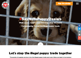 Saynotopuppydealers.co.uk thumbnail