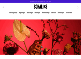 Schalins.com thumbnail