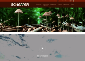 Scheffer.agr.br thumbnail