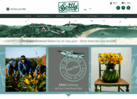 Scillyflowers.co.uk thumbnail Scillyflowers.co.uk thumbnail