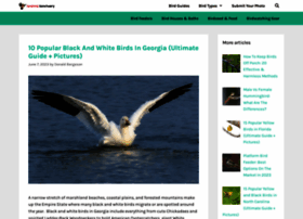 Seabirdsanctuary.org thumbnail